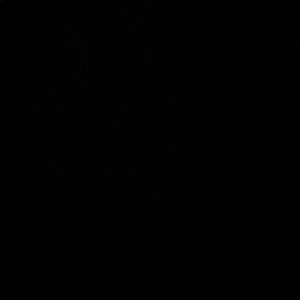 Meet your Posher, Calvin